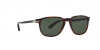 OKULARY PERSOL® PO 3019S 24/31 55 ROZMIAR M